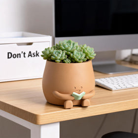 ZSHAWN Cozy decor planter on bookshelf creates inviting study space.