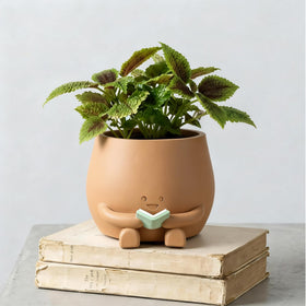 ZSHAWN Smiley Face Planter with open book, ideal for desks and small plants.