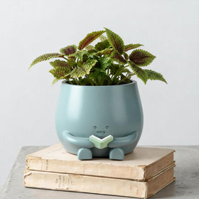 ZSHAWN Smiley Face Planter with open book, perfect desk decor.