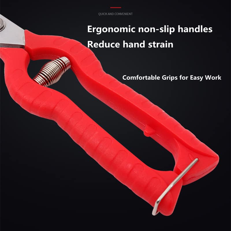 Zsling pruning shears safety lock engaged for secure operation