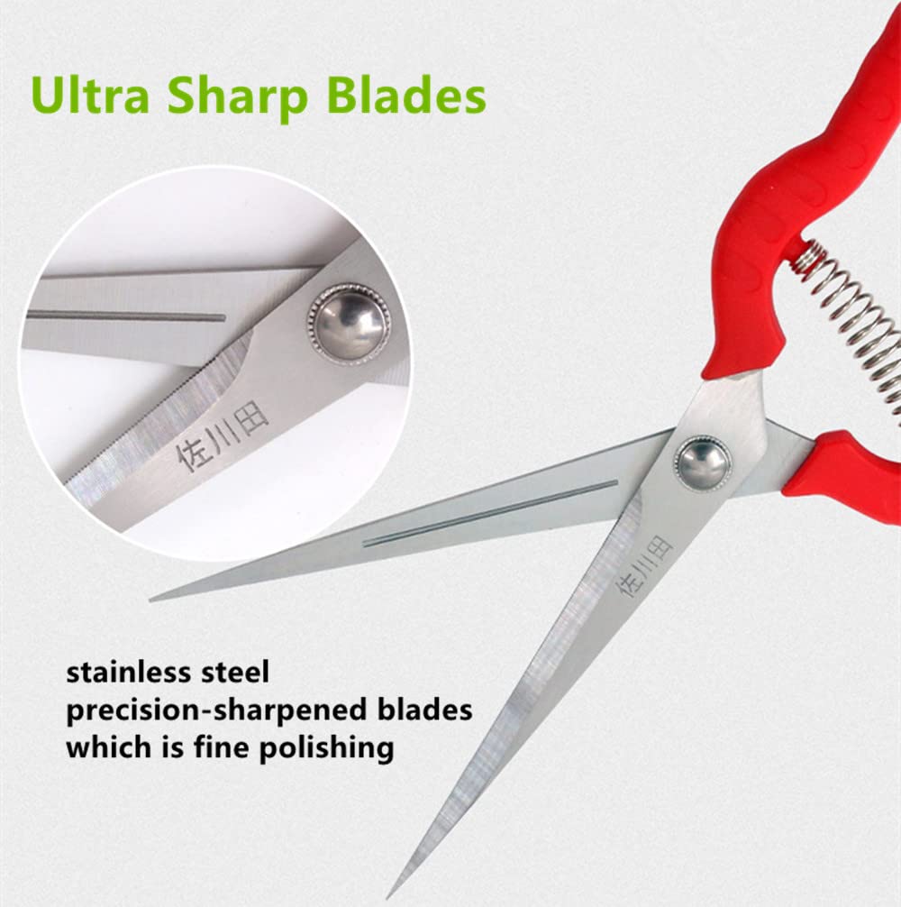 Zsling spring-assisted design helps quick blade reopening