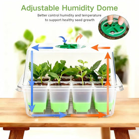 ZSYWODFO all-in-one kit image features domes, trays, labels, and tools
