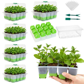 ZSYWODFO silicone seed starter tray setup showing multiple trays for organized indoor germination