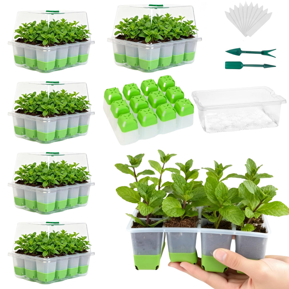 ZSYWODFO silicone seed starter tray setup showing multiple trays for organized indoor germination