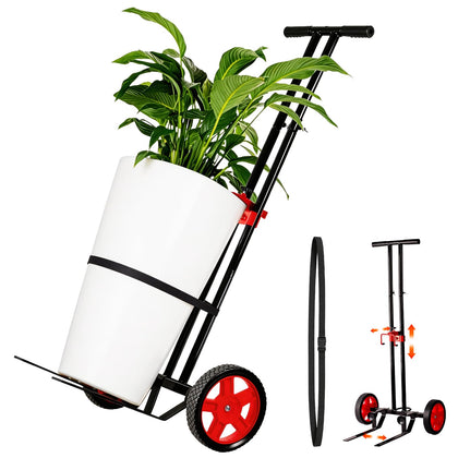 ZThrgran dolly cart wheels facilitate effortless plant movement across surfaces