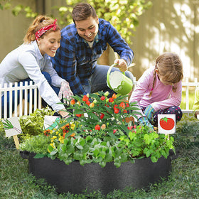 ZtohPyo care tips for year-round gardening and seasonal warmth guidance.
