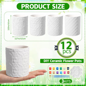 Zubebe 12-pc succulent planters paint kit ready for DIY projects.