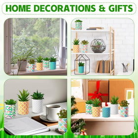 Zubebe versatile pots for home, garden, or office decor.