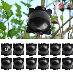 ZUCKBOX plant rooting box attached to a branch enables safe propagation.