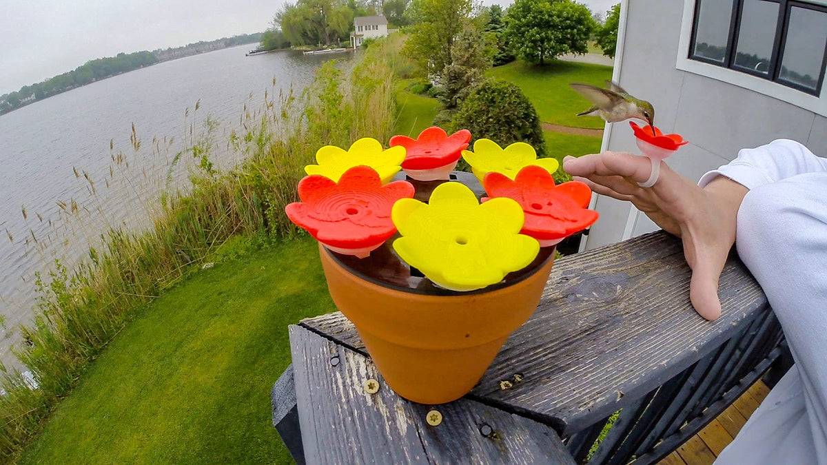 ZUMMR dishwasher-safe rings simplify quick cleanup