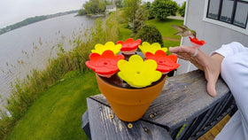ZUMMR dishwasher-safe rings simplify quick cleanup