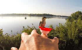ZUMMR wide-mouth design simplifies nectar refills