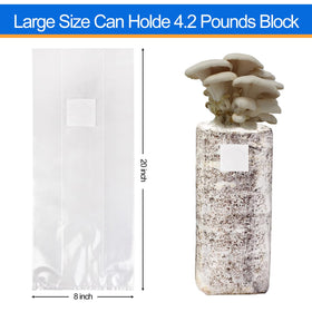 zwxt mushroom bag showing 8x5x20 size for roomy cultivation