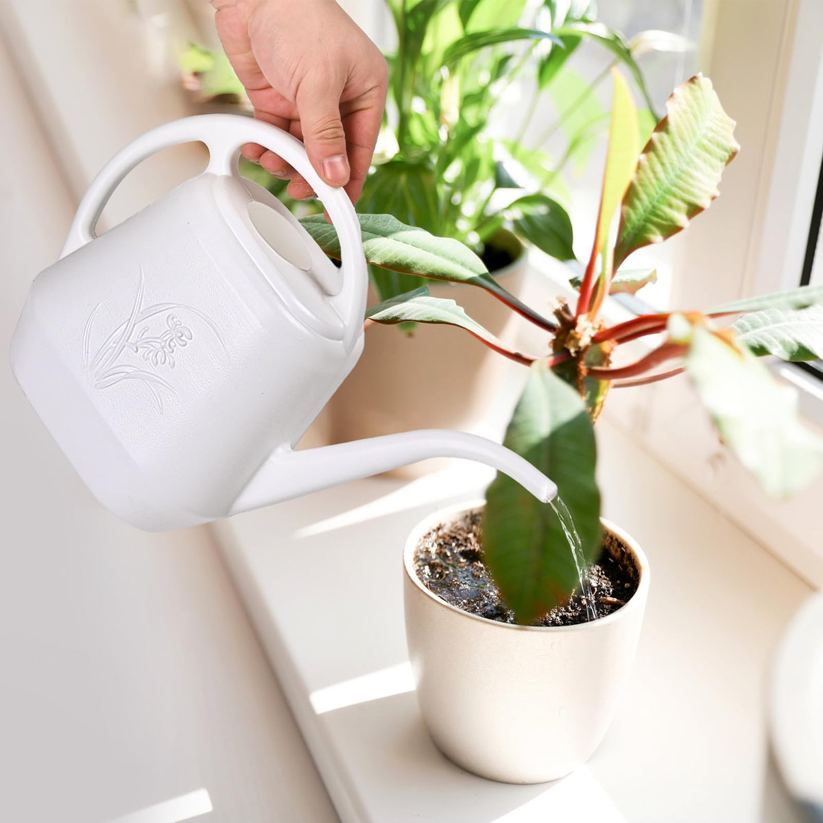 ZXJ easy-fill garden watering can for versatile use
