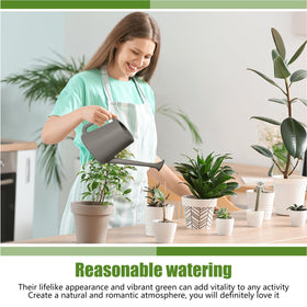 ZXJ Grip Can long spout closeup enables precise root watering.