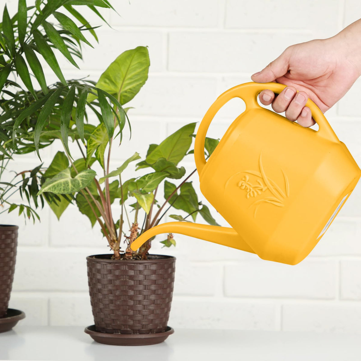 ZXJ orange design suits indoor planters and outdoor gardens