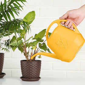 ZXJ orange design suits indoor planters and outdoor gardens