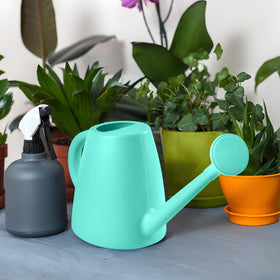 ZXJ removable sprayer offers steady stream or gentle shower