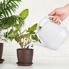ZXJ stylish white design complements home garden aesthetics