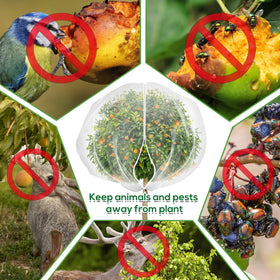 ZYP ultra-fine net blocks birds, squirrels, and insects in the garden.