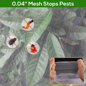 ZYP lightweight nylon cover provides durable plant protection without crowding leaves.