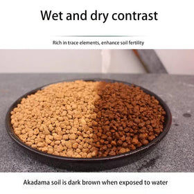 ZzbTwinkle Top-dressing with Akadama for succulents and plant mixes improves soil performance.